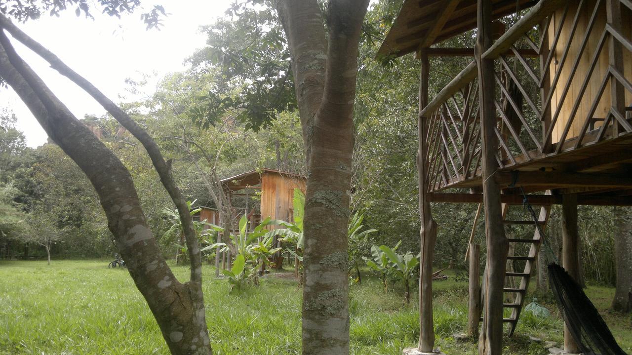 Rumi Wilco Ecolodge & Nature Reserve-Cabanas & Camping Vilcabamba Zewnętrze zdjęcie