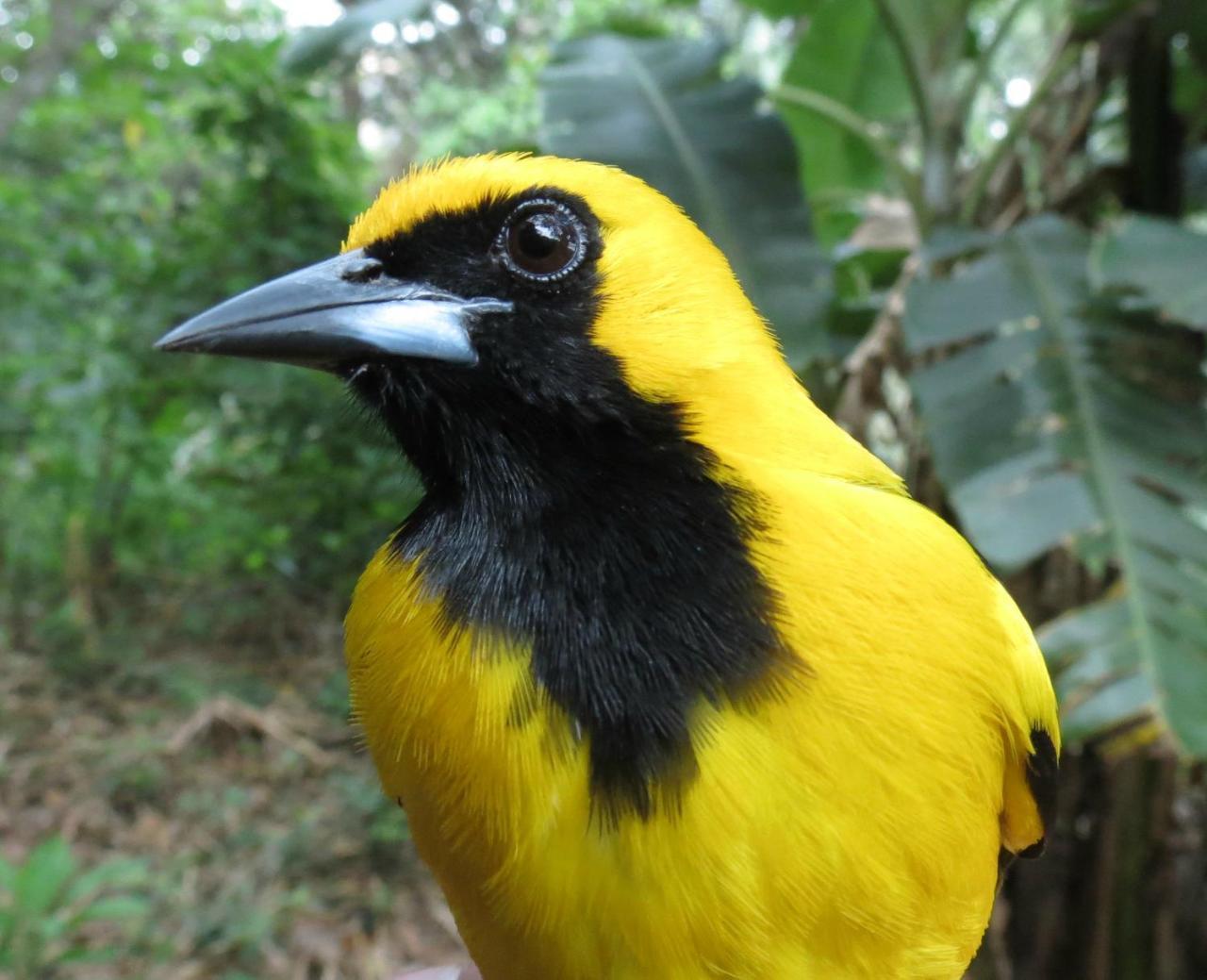 Rumi Wilco Ecolodge & Nature Reserve-Cabanas & Camping Vilcabamba Zewnętrze zdjęcie